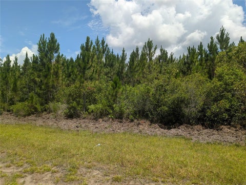 — beds bed, — baths bath property at 106 Japonica Drive, Indian Lake Estates, FL 33855