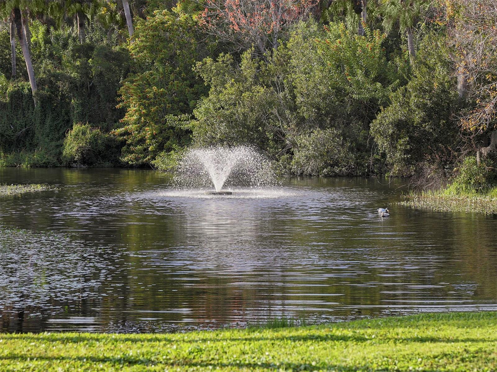 PINE RUN II - Residential