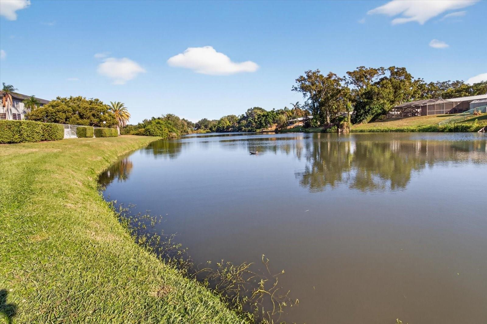 IMPERIAL PARK CO-OP BLDG - Residential