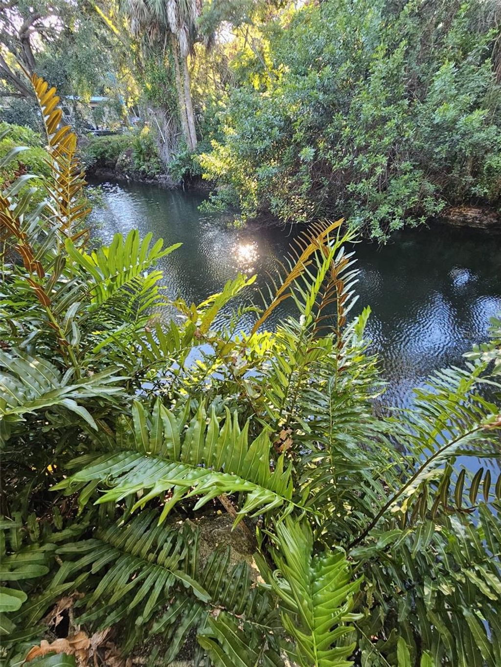 Photo of 14635 Coral Drive, Hudson, FL 34667 (MLS # TB8456047)