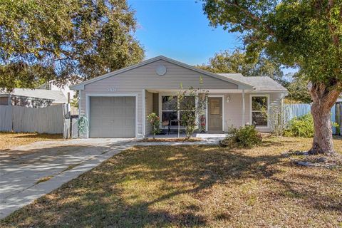 A home in PALM HARBOR