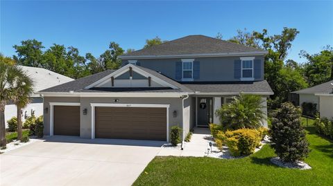 Photo of 6017 Maidenstone Way, Palmetto, FL 34221 (MLS # A4687635)