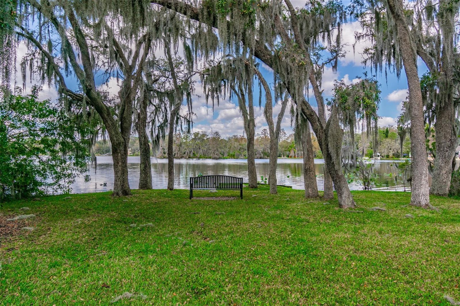 TEMPLE TERRACE RIVERSIDE SUBDI - Residential
