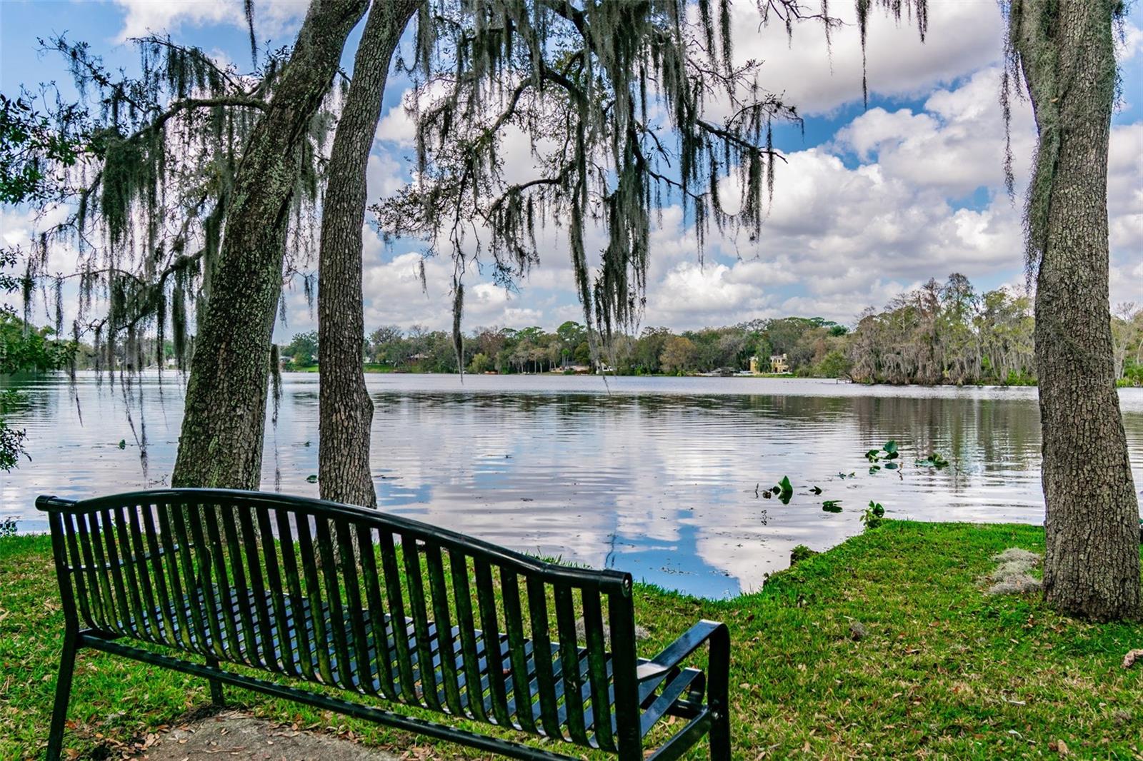 TEMPLE TERRACE RIVERSIDE SUBDI - Residential