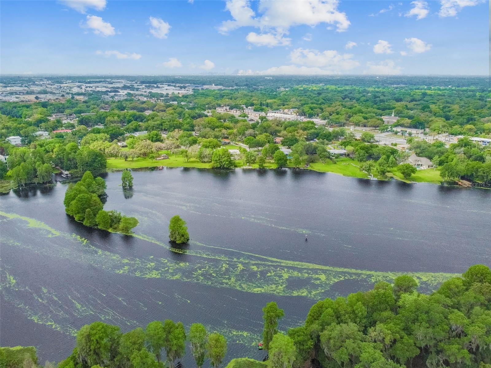 TEMPLE TERRACE RIVERSIDE SUBDI - Residential