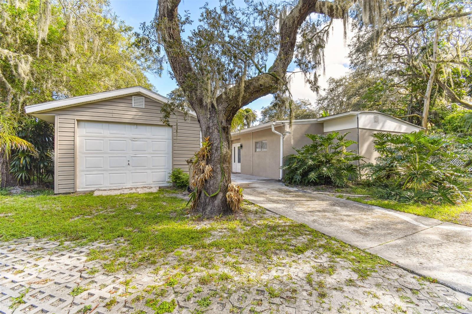 TEMPLE TERRACE RIVERSIDE SUBDI - Residential
