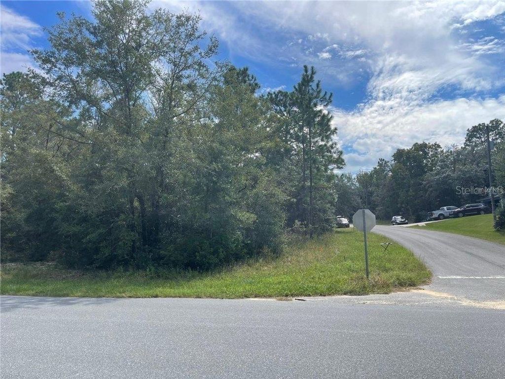 Photo of 11083 N Tigerwood Terrace, Citrus Springs, FL 34434 (MLS # O6356072)