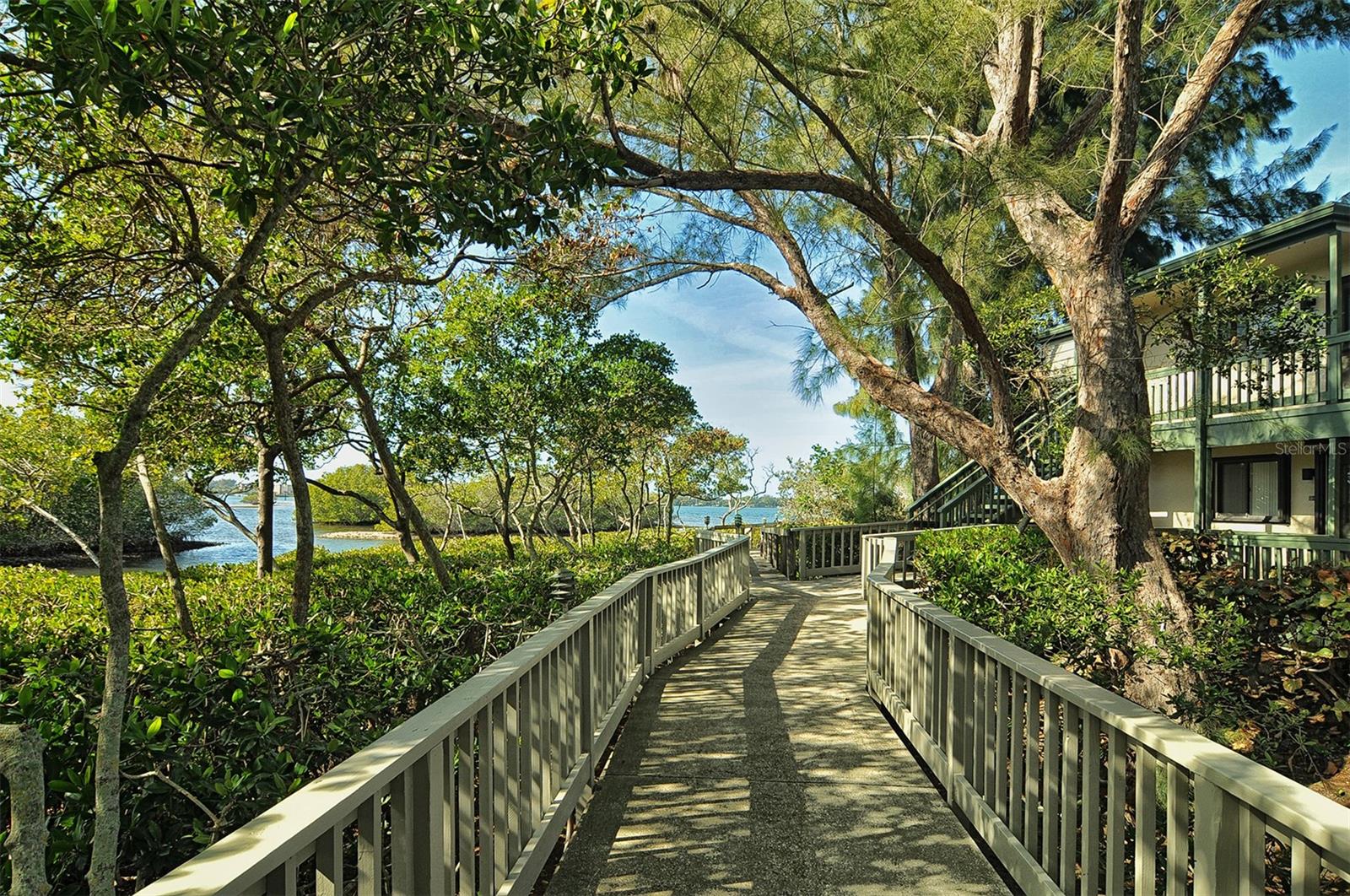 PELICAN COVE XVI - Residential Lease