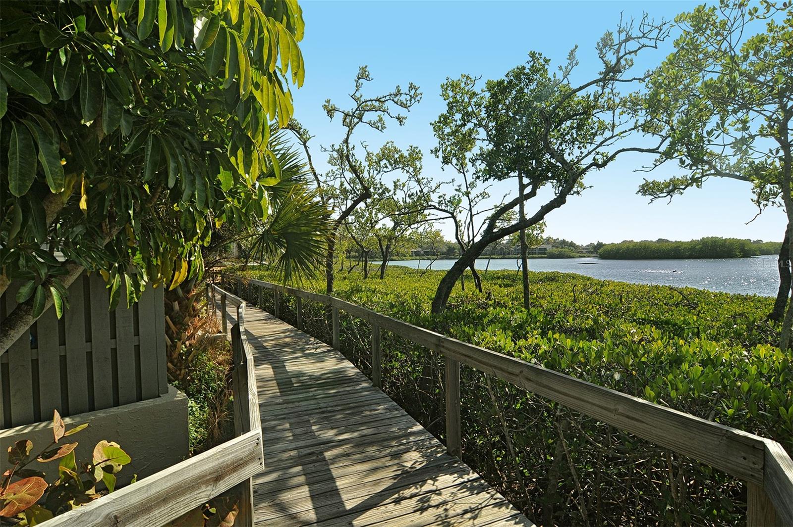PELICAN COVE XVI - Residential Lease