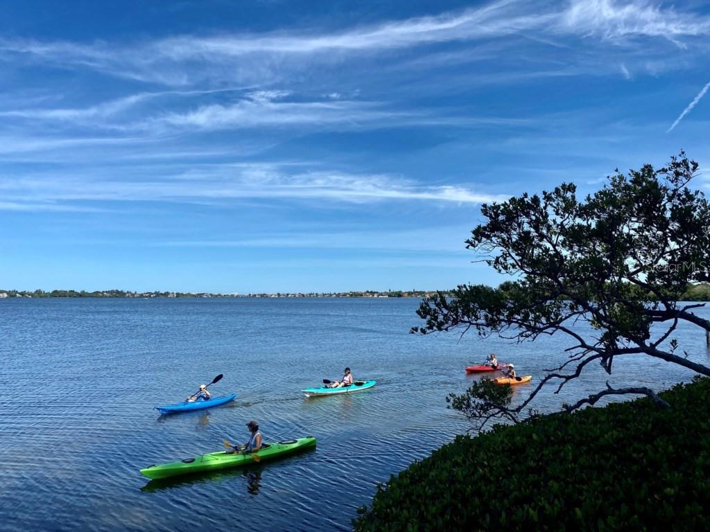 PELICAN COVE XVI - Residential Lease