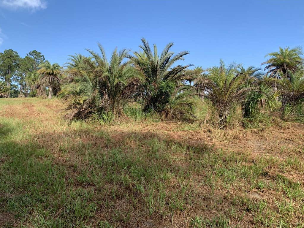 Photo of Dan Brown Hill Road #Lot 3, Brooksville, FL 34602 (MLS # TB8530375)