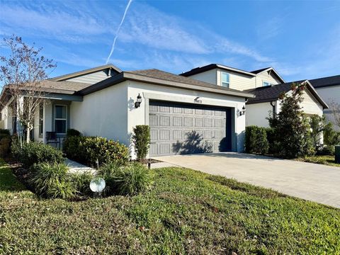 20873 DRAKE ELM DRIVE LAND O LAKES FL 34638