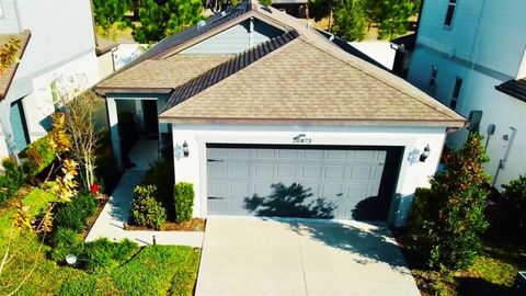 Photo of 20873 Drake Elm Drive, Land O Lakes, FL 34638 (MLS # W7882868)