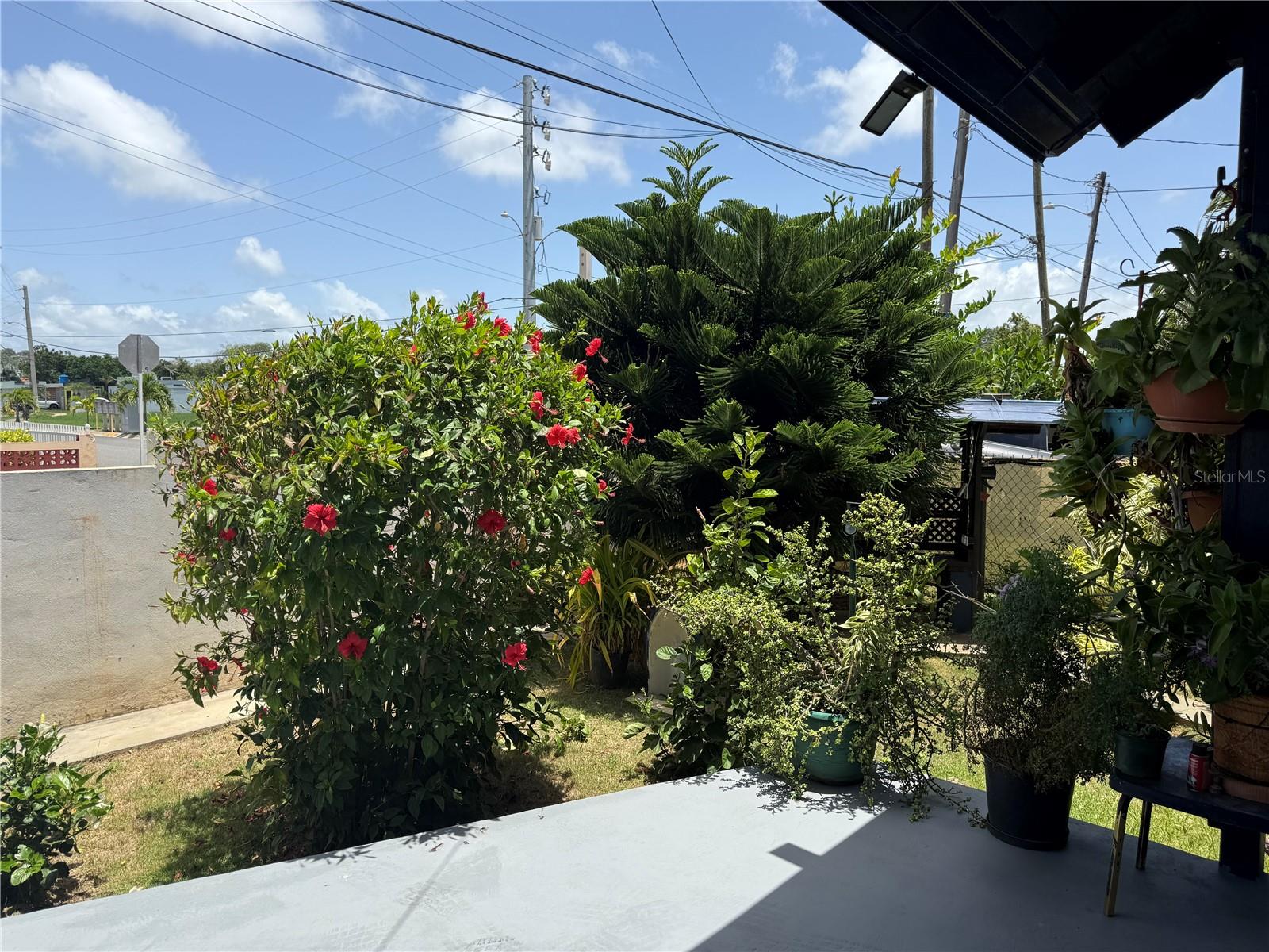 BORINQUEN - Residential