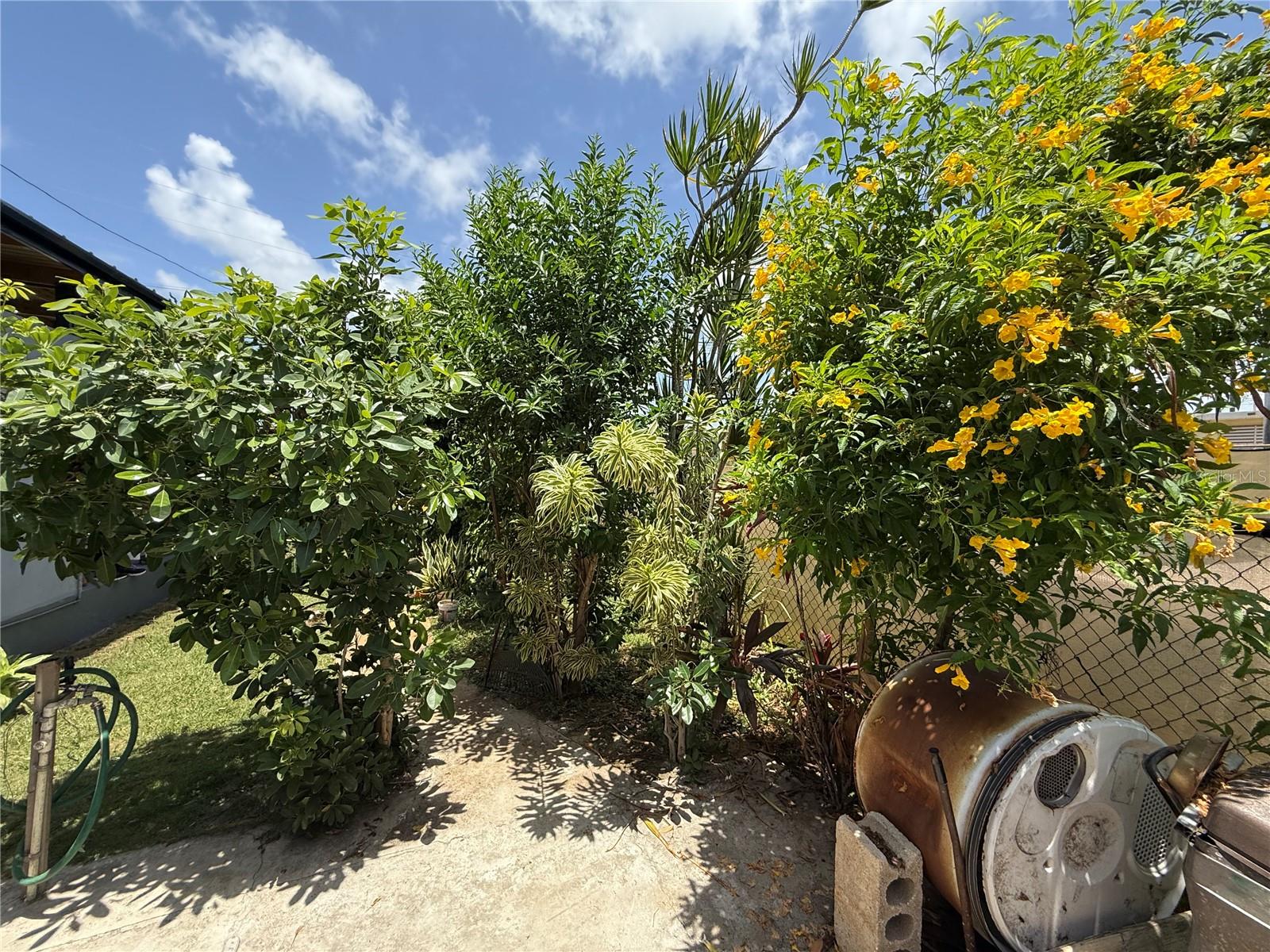 BORINQUEN - Residential