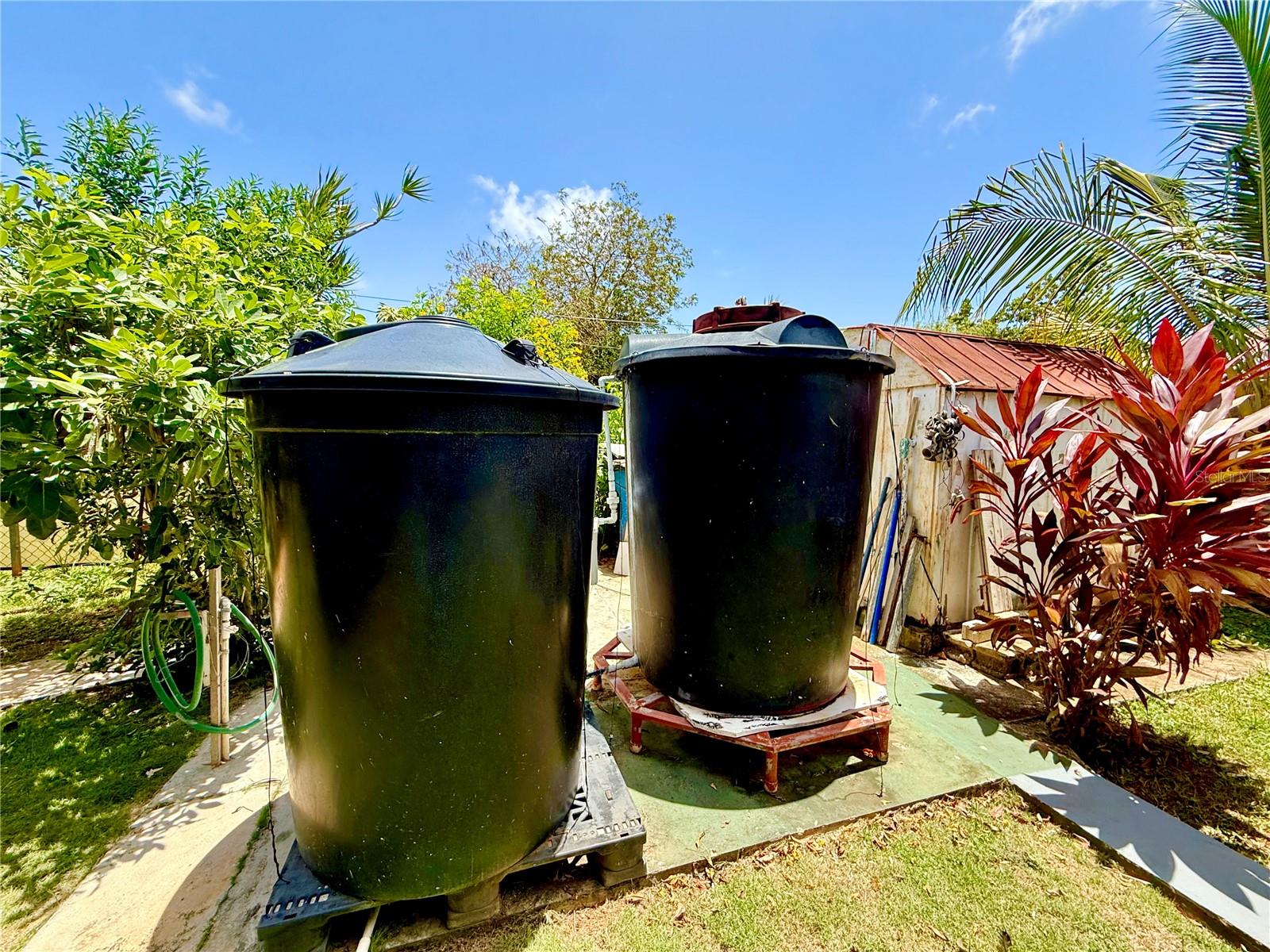 BORINQUEN - Residential