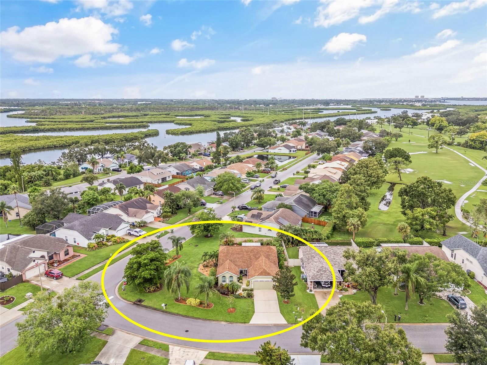 Welcome to this beautifully updated 3-bedroom, 2-bath home in the highly desirable Braden River Lakes waterfront community, offering NO flood insurance requirement, NO CDD fees, low HOA of just $462 per year and great amenities! This residence features an oversized corner lot, adorned with lush, vibrant landscaping and a variety of beautiful, well-maintained greenery that enhances the home's curb appeal. Inside, you’ll be welcomed by soaring vaulted ceilings, elegant ceramic tile flooring, a formal dining room with chandelier lighting, and a gourmet kitchen featuring wood cabinets, a decorative backsplash, breakfast bar, bay window, and stylish fixtures. The spacious living room offers abundant natural light and sliding doors leading to the screened lanai and private fenced backyard. Extensive upgrades include popcorn ceiling removal and fresh paint, remodeled kitchen and baths with zero-curb shower and grab bars, impact-rated windows with hurricane covers, new front door, upgraded entry lighting, lanai refinishing, and guest bath remodel. Additional highlights include garage improvements with opener, retractable attic stair, workbench, shelving, and cabinetry, as well as a new water heater, heat pump, whole-house surge protection, reverse osmosis system, and exterior shutoff. Outdoors, enjoy new fencing, curbing, dry garden, irrigation system, and fresh landscaping, plus full interior and exterior repainting. Centrally located in a quiet community where all the amenities overlook the water, you can even spot dolphins and manatees right from the community area! Amenities include a community pool, volleyball and tennis courts, a kayak launching station, playgrounds, gazebos, community BBQ grills, and much more! Close to all essentials, including dining, banks, and popular shopping destinations such as Publix, Walmart, Costco, Home Depot, and more. Only 5 minutes away from the public boat ramp and 20 minutes away from the sandy beaches of Anna Maria Island!