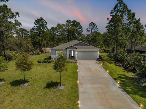 Photo of 703 Volco Road, Edgewater, FL 32141 (MLS # NS1088424)