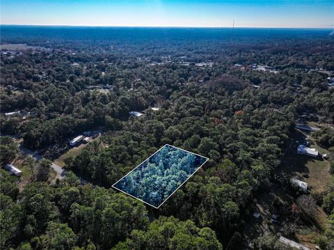 W ROSEDALE DRIVE HOMOSASSA FL 34448