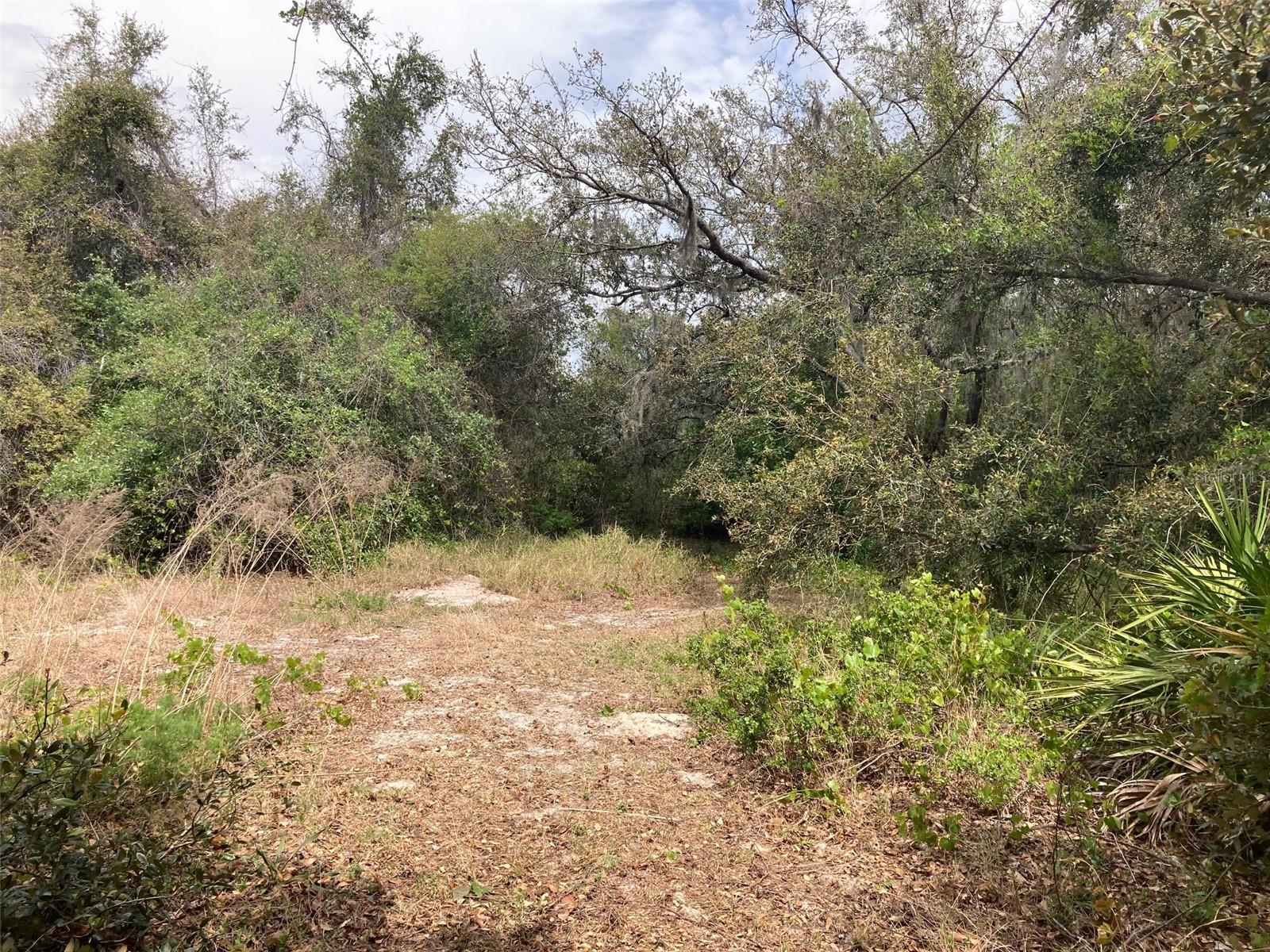 WALK IN WATER LAKE ESTATES PH 02 - Land