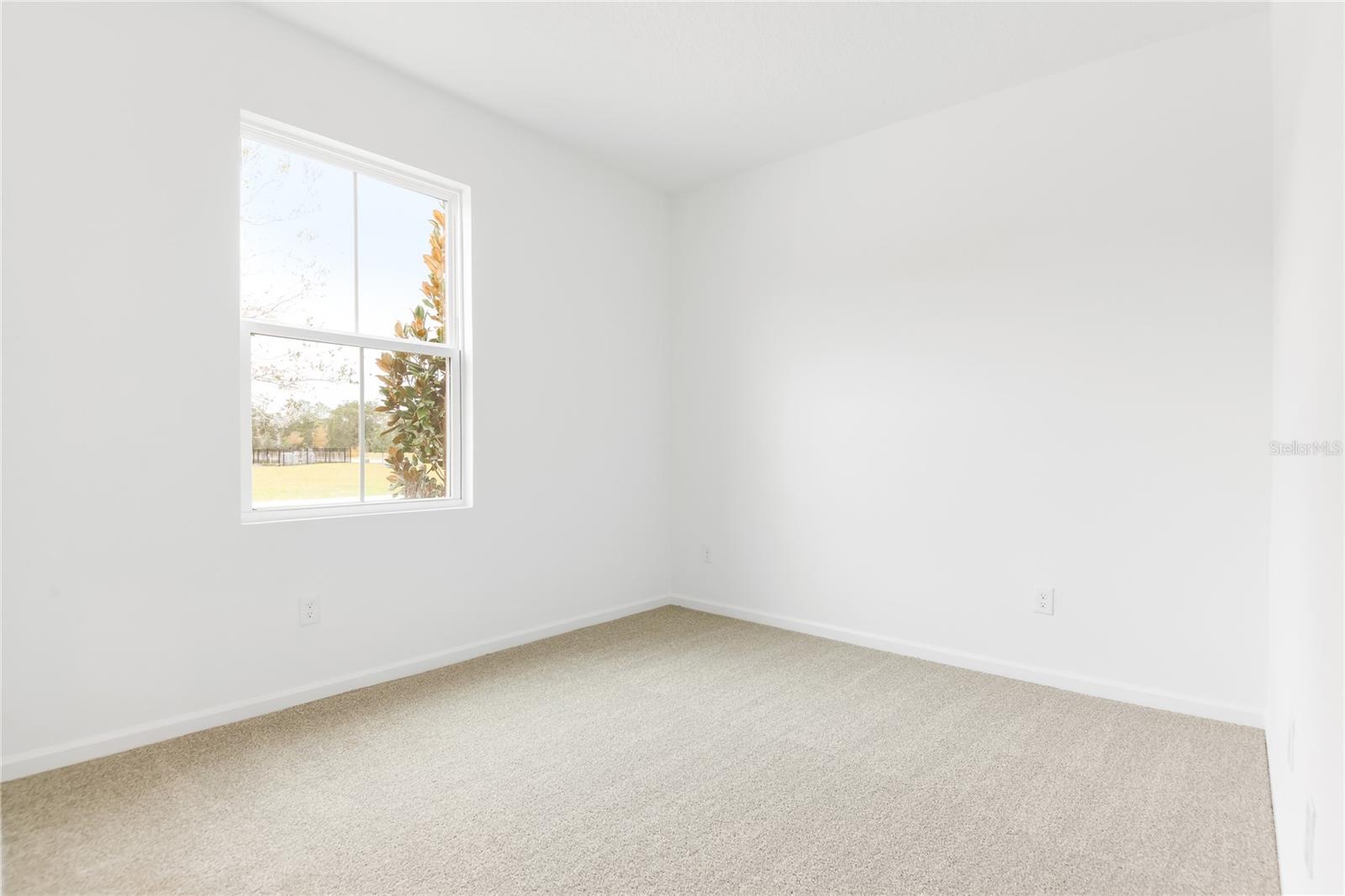 1775 CARNELIAN STREET