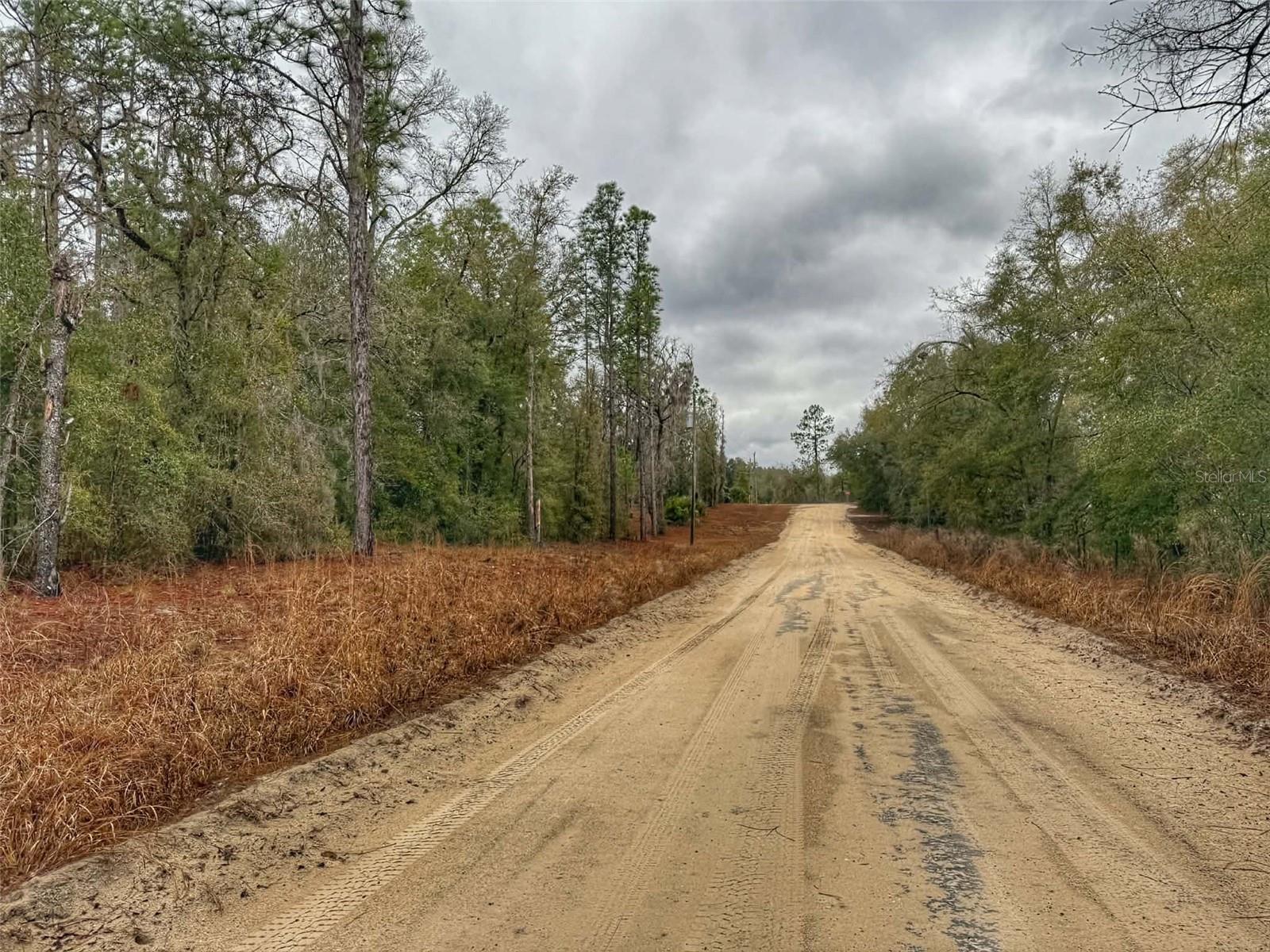 SUWANNEE RIVER ESTATES NORTH - Land