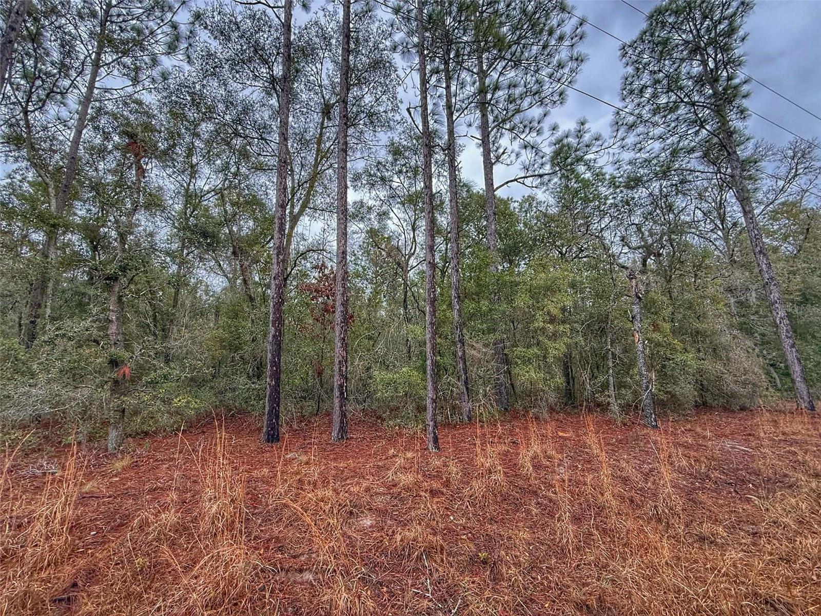 SUWANNEE RIVER ESTATES NORTH - Land