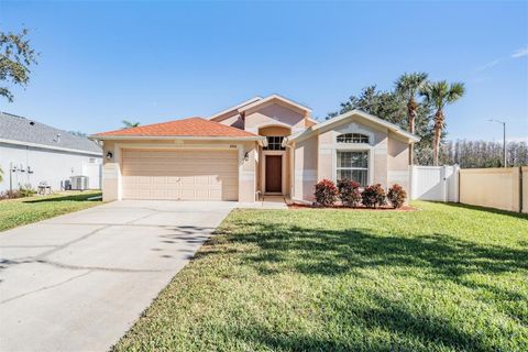 A home in LAND O LAKES