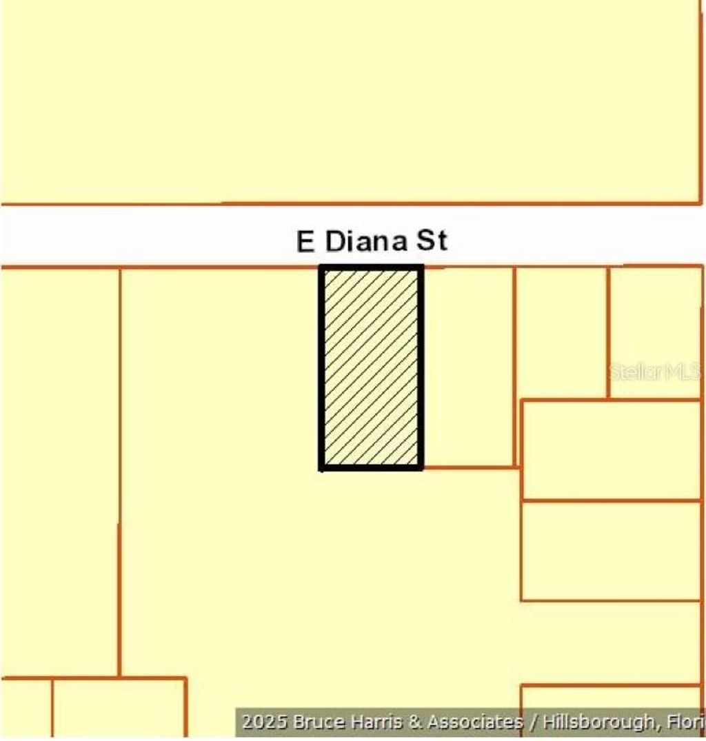 Photo of E Diana Street, Tampa, FL 33610 (MLS # TB8348872)