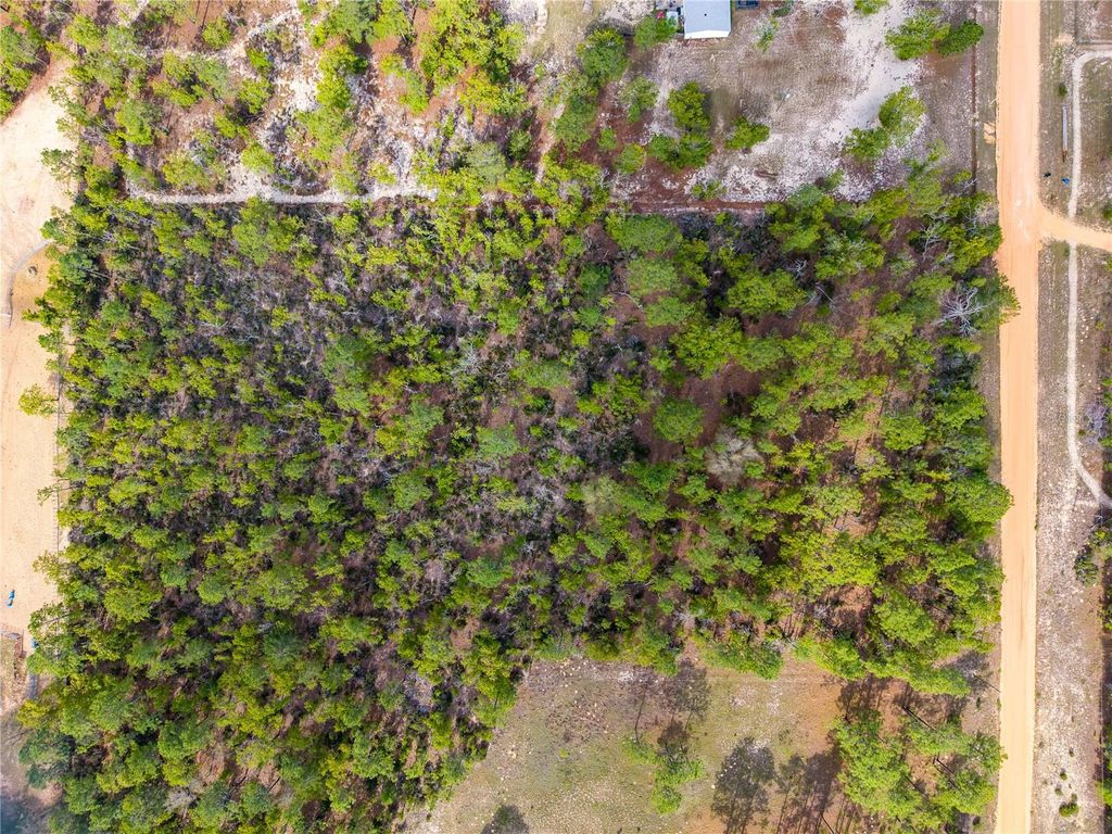 Photo of 230 Melrose Landing Drive, Hawthorne, FL 32640 (MLS # TB8499573)