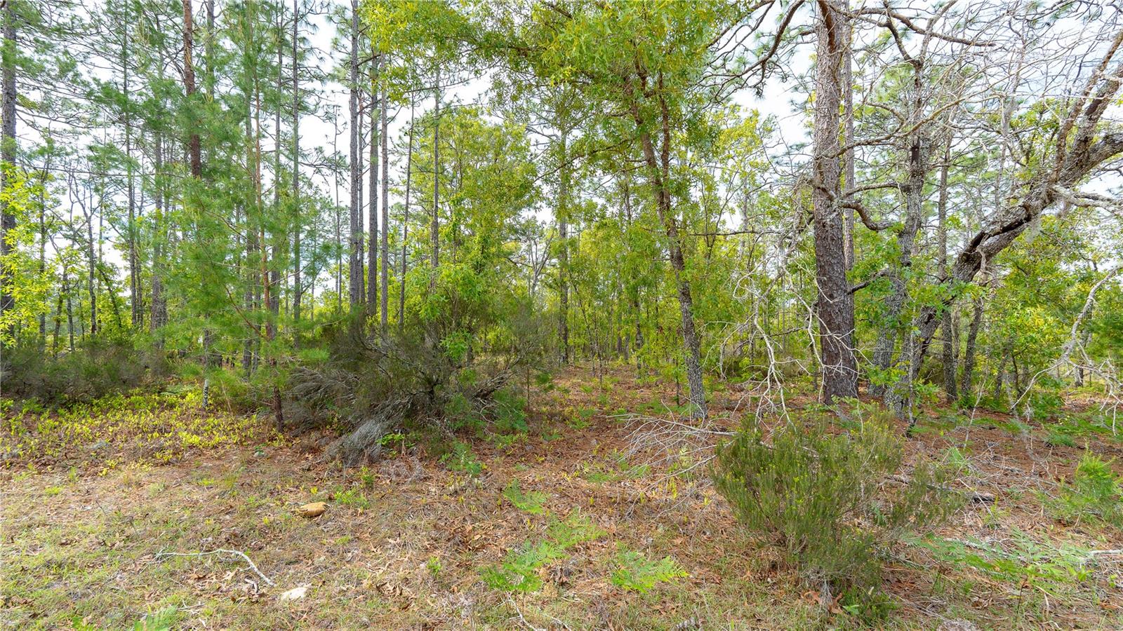 MELROSE LANDING - Land