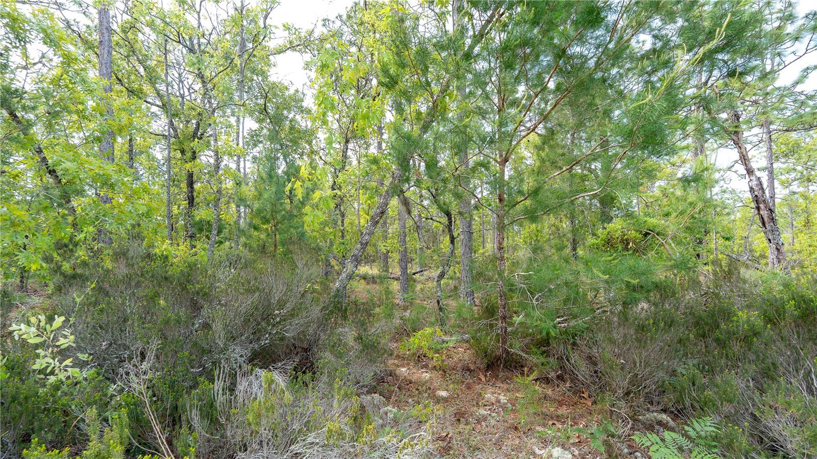 MELROSE LANDING - Land