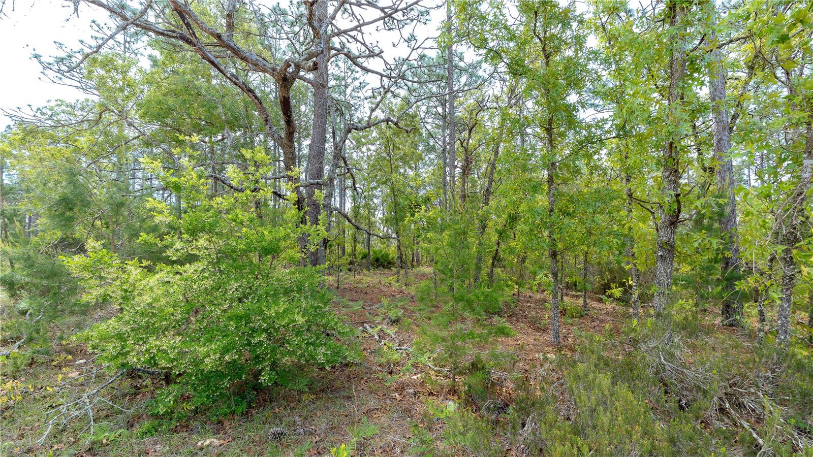 MELROSE LANDING - Land