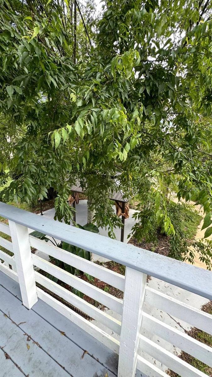 DOUGHERTY CHAS - Residential Lease