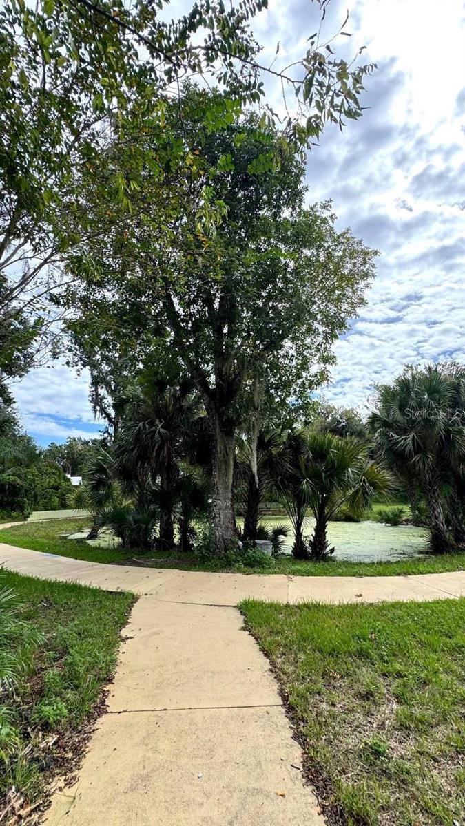 DOUGHERTY CHAS - Residential Lease