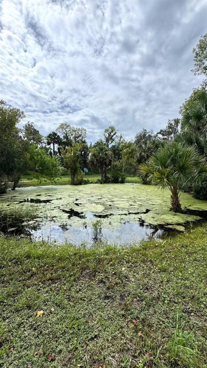 DOUGHERTY CHAS - Residential Lease