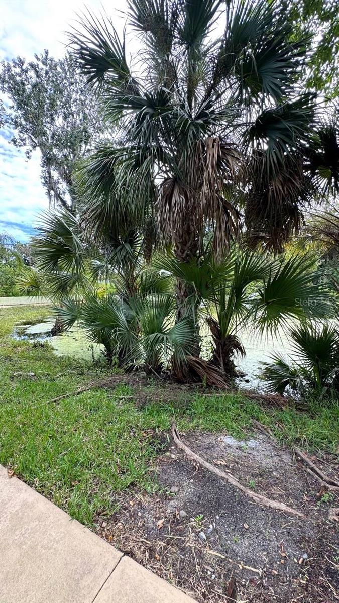 DOUGHERTY CHAS - Residential Lease