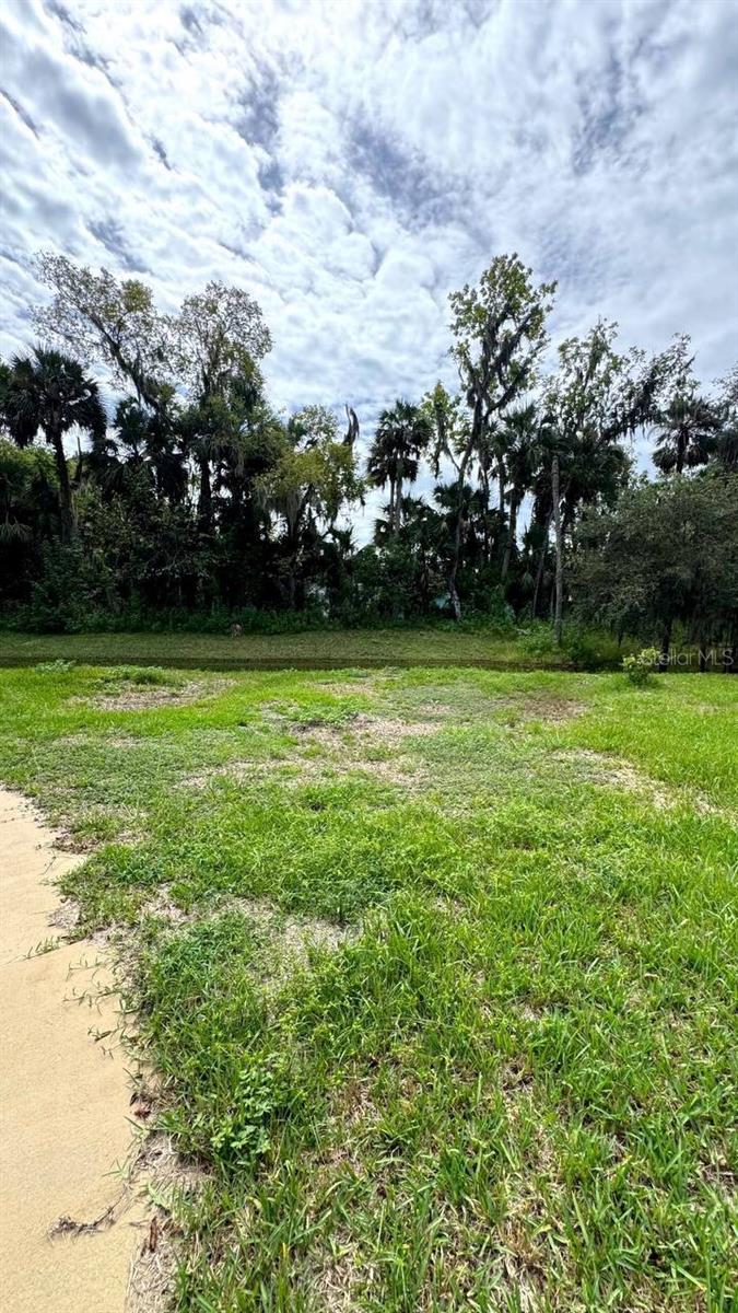 DOUGHERTY CHAS - Residential Lease