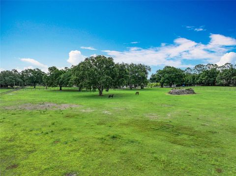 Tiny photo for 17670 SE 283rd Avenue, Umatilla, FL 32784 (MLS # G5097779)