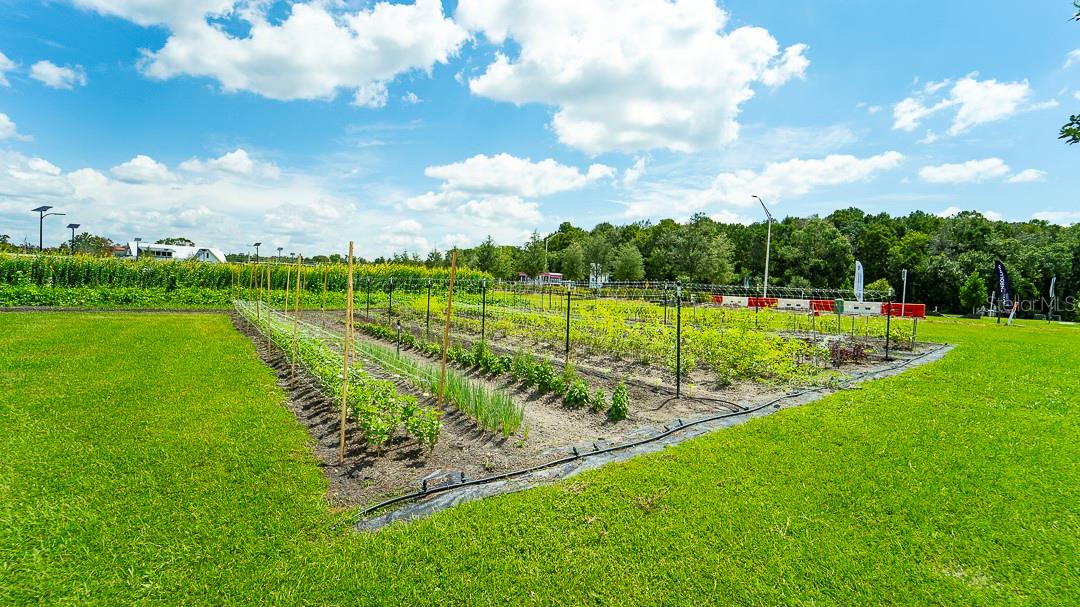 ANGELINE PH 1A 1B 1C & 1D - Residential