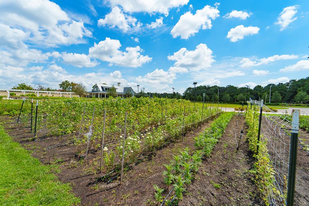 ANGELINE PH 1A 1B 1C & 1D - Residential