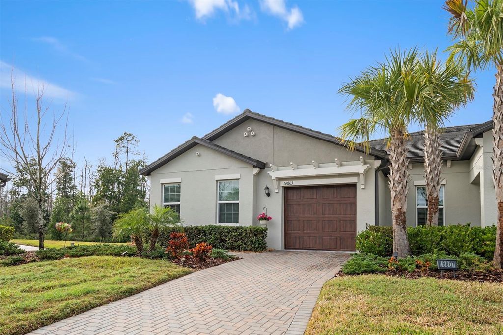 Photo of 16803 Forge Surf Street, Land O Lakes, FL 34638 (MLS # TB8461136)