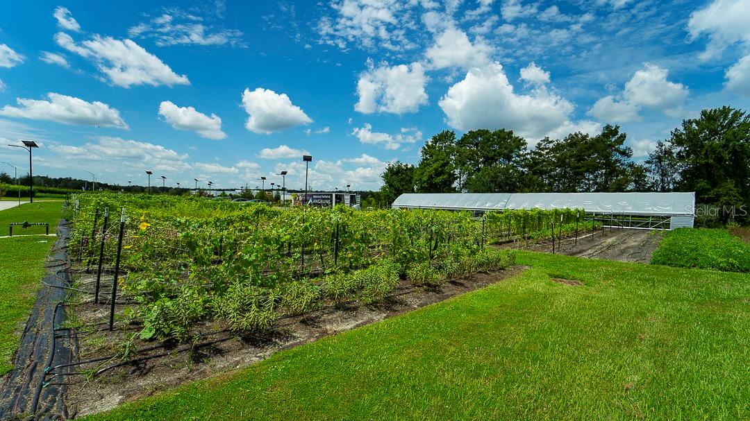 ANGELINE PH 1A 1B 1C & 1D - Residential