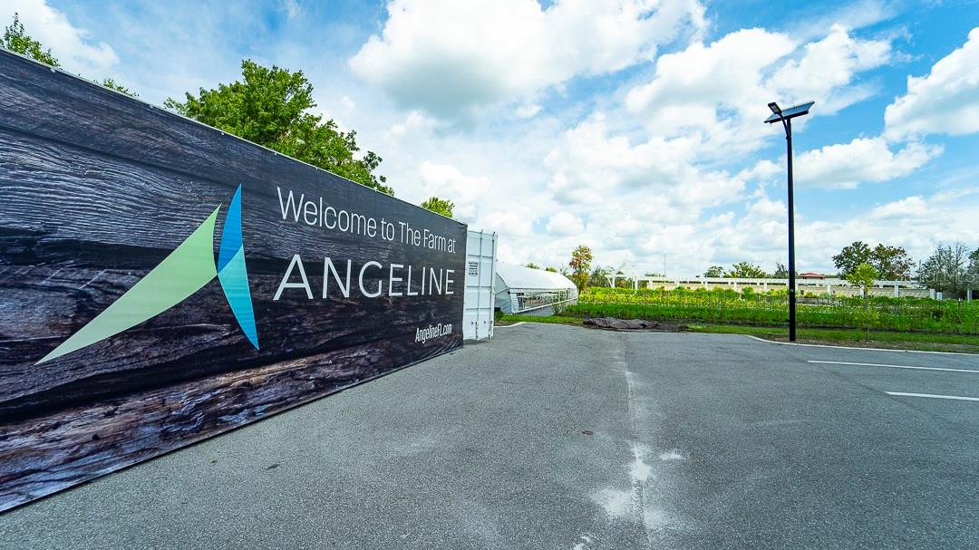 ANGELINE PH 1A 1B 1C & 1D - Residential