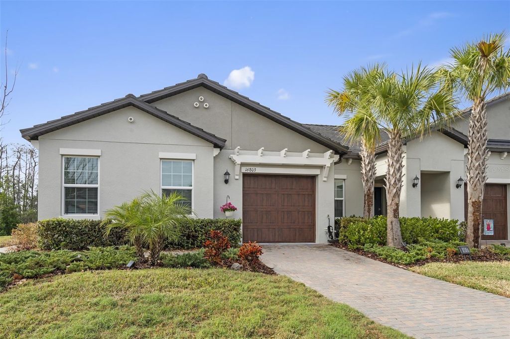 Photo of 16803 Forge Surf Street, Land O Lakes, FL 34638 (MLS # TB8461136)