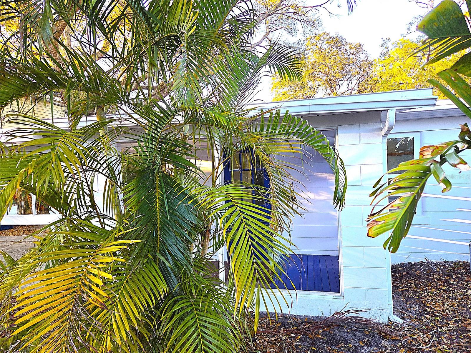 ACREAGE - Residential