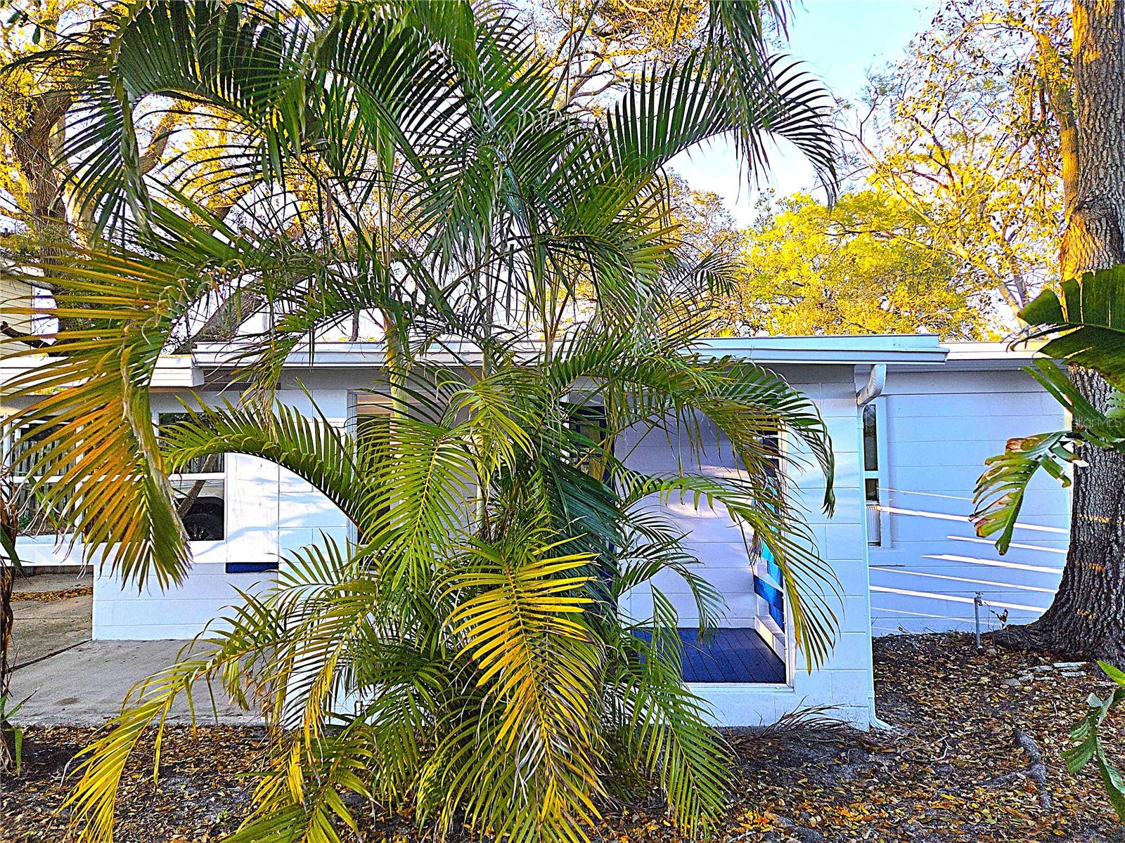 ACREAGE - Residential