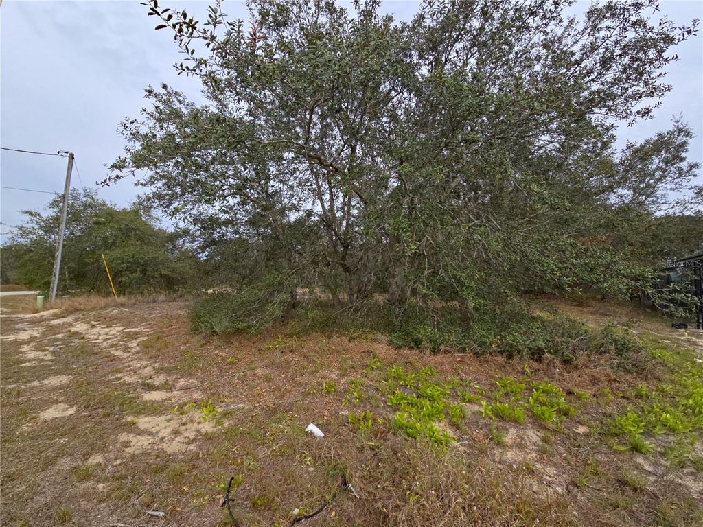 Photo of 1420 Punta Gorda Court, Poinciana, FL 34759 (MLS # S5142440)