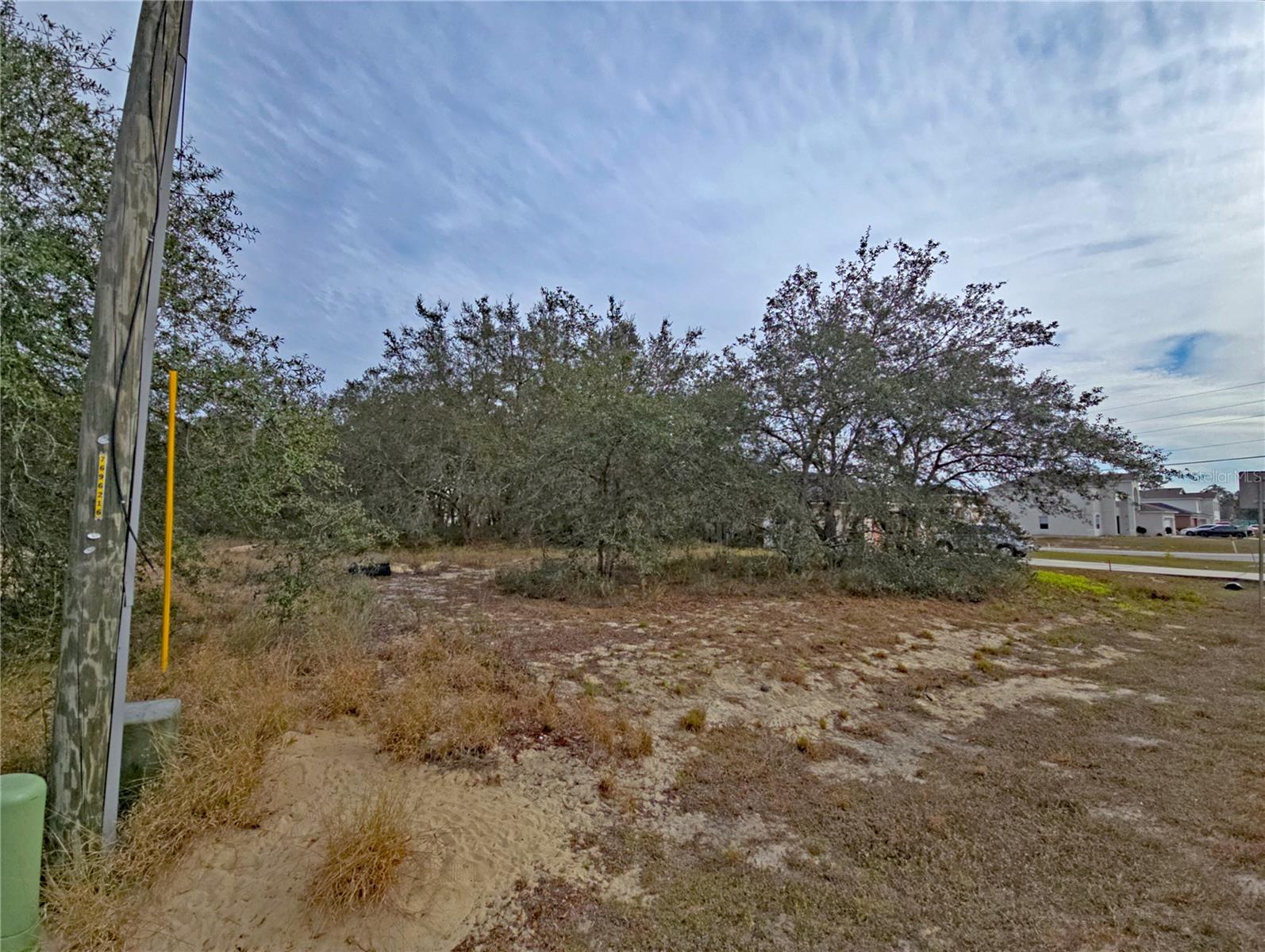 1420 PUNTA GORDA COURT