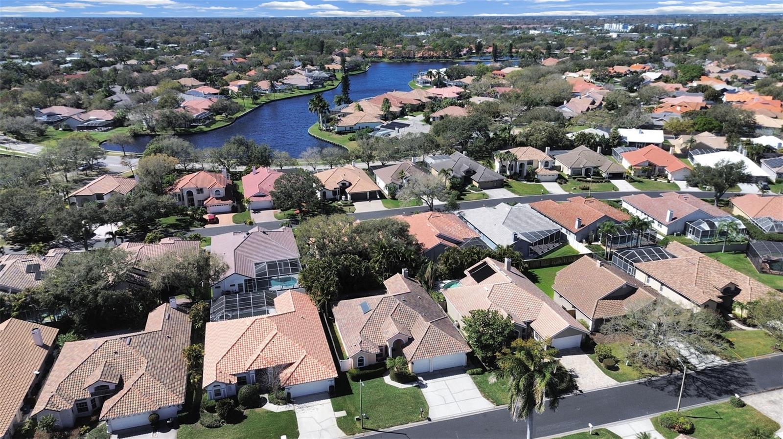 4833 WINDMILL PALM TERRACE NE